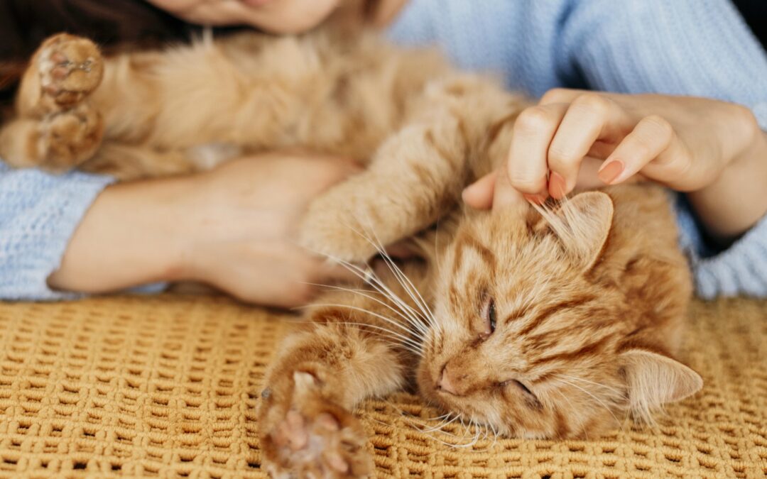 Have you tried stroking yet?